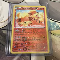 Growlithe RC4/RC25 Holo Legendary Treasures Radiant Collection Pokemon LP+ 2013 - Image 3