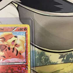 Growlithe RC4/RC25 Holo Legendary Treasures Radiant Collection Pokemon LP+ 2013 - Image 5