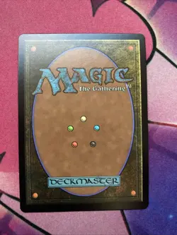 Paradise Chocobo 483 Promo Borderless Foil Final Fantasy Box Exclusive MTG NM EN - Image 3