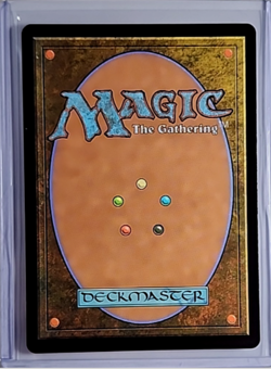 Magic The Gathering WOE Wilds of Eldraine Showcase Foil #279 Virtue of Knowledge - Image 2