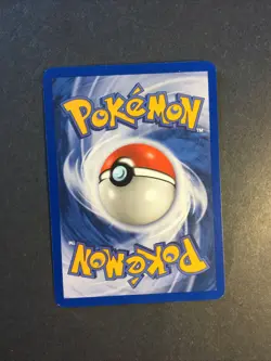 2004 Nintendo Pokemon EX Ruby & Sapphire Energy Fighting Earth 105 /109 Ground - Image 2