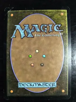 Puresteel Paladin Foil New Phyrexia HP MTG Magic the Gathering Note Description - Image 2