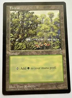 Magic The Gathering: Forest Arena League 1997 6x9 Oversized Promo LP - Image 1