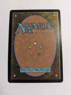 Snapcaster Mage Borderless Chocobo Track Foil Commander Final Fantasy 469 MtG - Image 2