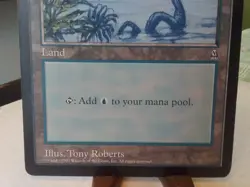 MTG Oversized Promo Island HP Arena League Jumbo Basic Land Magic the Gathering - Image 5