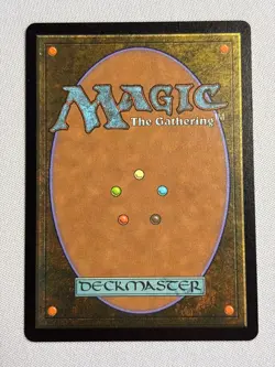 Wakka, Devoted Guardian (Borderless Chocobo FOIL) Final Fantasy - MTG NM - Image 2