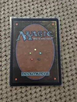 Lulu, Stern Guardian (Borderless) Chocobo Track Foil MTG Final Fantasy NM - Image 2