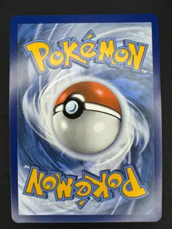 Blastoise ex (Stellar Crown Stamp) Double Rare Holo NM 030/142 Pokemon TCG - Image 2