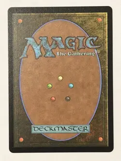 Lulu, Stern Guardian (Borderless) Chocobo Track Foil MTG Final Fantasy NM - Image 2