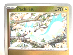 Pokemon Pachirisu + FREE extra Rare card! - Image 2