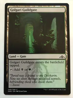 MTG Guilds of Ravnica Golgari Guildgate 249/259 NM - Image 1