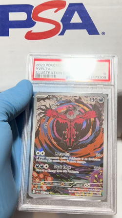 Pokemon Yveltal Paradox Rift Illustration Rare Card PSA 10 Gem Mint 205/182 - Image 2