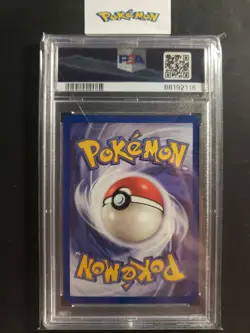 First Edition 2000 Pokemon Team Rocket 46/82 Dark Wartortle PSA NM-MT 8 - Image 2