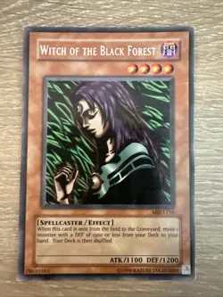Witch of the Black Forest MRD-116 MP - Image 1