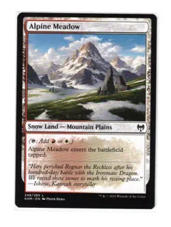 MTG - NM - Alpine Meadow - Kaldheim 248 - Image 1