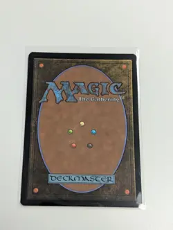 Spider-Punk (0207) (Borderless) Marvel's Spider-Man Foil Magic MTG - Image 2