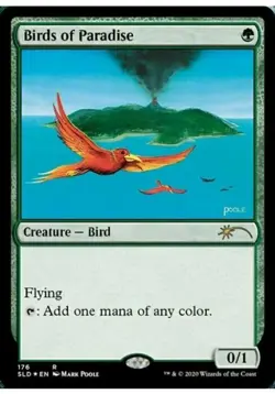 Birds of paradise x1 -regular - secret lair mtg magic - Image 1