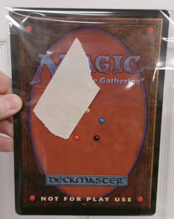 Magic The Gathering KARPLUSAN FOREST Large 6" X 9" Promo Card 1999 - Image 2
