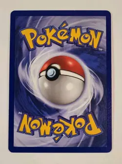 Pidgeotto - 22/102 - Base Set - Rare - Vintage WotC Era Pokemon Card - Image 2