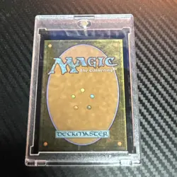 MTG Traveling Chocobo - NON-FOIL - Borderless, NM-Mint, English Final Fantasy - Image 2
