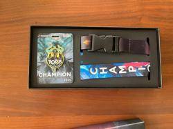MTG RCQ 2025 - Ugin Champion Pin And Lanyard Set - Pinfinity - Image 2