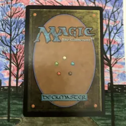 Ran and Shaw (Borderless) #325 (Foil) (NM) TLA Magic MTG - Image 5