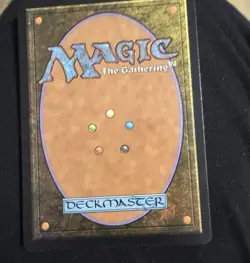 MTG Ran And Shaw Borderless - Image 2