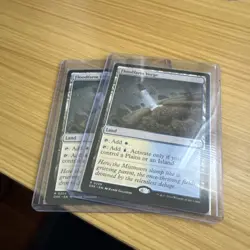 Floodfarm Verge Duskmourn: House of Horror Regular (Full Playset X4 Copies) - Image 2