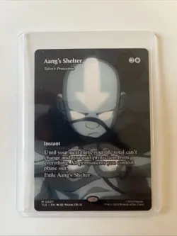 Aang's Shelter - (Borderless) Avatar: The Last Airbender: Eternal-Legal Regular - Image 1
