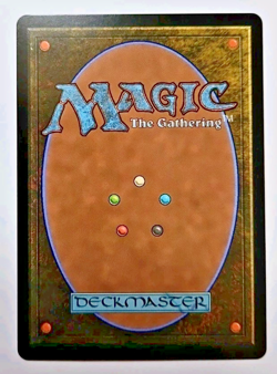 MTG Force of Negation #0013 Showcase Borderless Source Material Mythic Rare TLE - Image 3