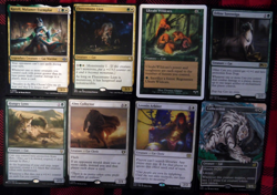 MTG Tribal Cats lot - 39 cards - 25 Rares; 6 Mythics; Collectors and cat lovers - Image 4