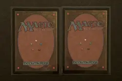 (2) Magic: The Gathering Pestilence 5th Edition 1997 VINTAGE MTG LP - Image 2