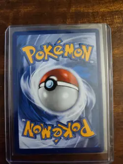 2025 POKEMON BLACK STAR PROMO MEP EN #024 ORICORIO EX ULTRA PREMIUM COLLECTION - Image 2