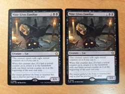 Magic the Gathering MTG 1x Nine-Lives Familiar Foundations NM - Image 1