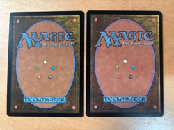 Magic the Gathering MTG 1x Nine-Lives Familiar Foundations NM - Image 2