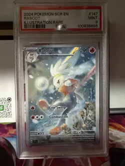 2024 POKEMON STELLAR CROWN RABOOT 147/142 IR ILLUSTRATION RARE PSA 9 MINT - Image 1