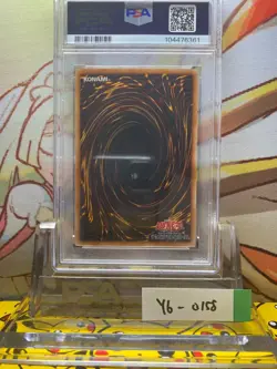 PSA 8 Stardust Dragon TDGS-JP040 Ghost Rare 2008 Yu-Gi-Oh Japanese 1st Edition - Image 2