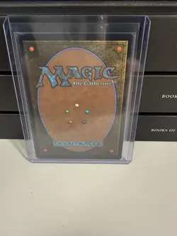 Magic The Gathering Wan Shi Tong, Librarian - Image 2