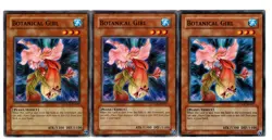 Yugioh- 3X Botanical Girl - Common - Unlimited - CSOC-EN027 - Near Mint - Image 1