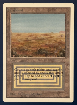 MtG Unlimited Edition: Scrubland - Image 1