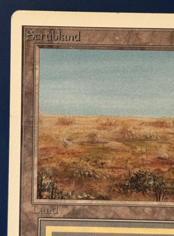 MtG Unlimited Edition: Scrubland - Image 2