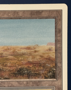 MtG Unlimited Edition: Scrubland - Image 3