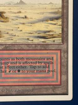 MtG Unlimited Edition: Badlands - Image 4