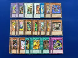 Yu-Gi-Oh! - Weevil Underwood's Complete Metamorphosed Insect Queen Deck - Image 1