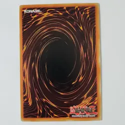 Amazoness Onslaught - LEDU-EN011 - NM/VLP - Rare - 1st ed - Yugioh - Image 2