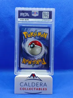 Pokemon TCG Pidgeot 8/64 Holo 1st Edition Jungle PSA 9 Mint - Image 2