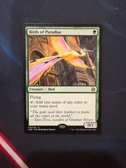 Birds of Paradise Conspiracy: Take the Crown Regular - Image 1