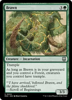 Brawn 224 M3C MTG Green Trample Incarnation 2024 Cavotta Uncommon Forest EN - Image 1