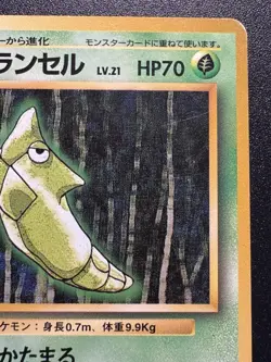 Japanese Metapod Base Set No Rarity 1st Edition Pokemon Card Rare HP - Image 4