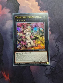 Traptrix Pinguicula - SDBT-EN042 Ultra Rare 1st Ed Yugioh Card NM - Image 1